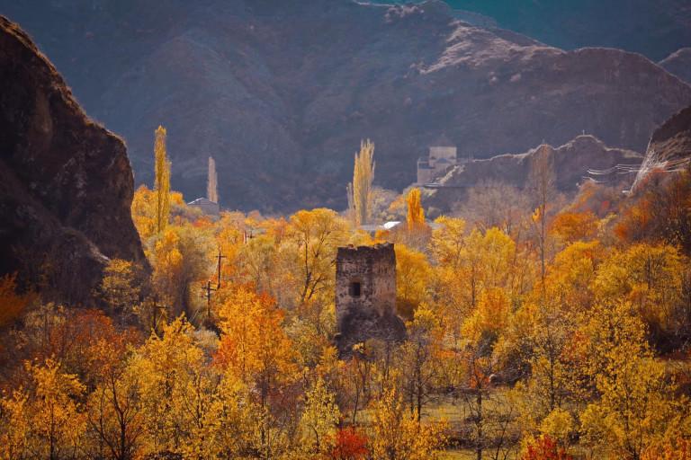 315412759_569919135134703_461604