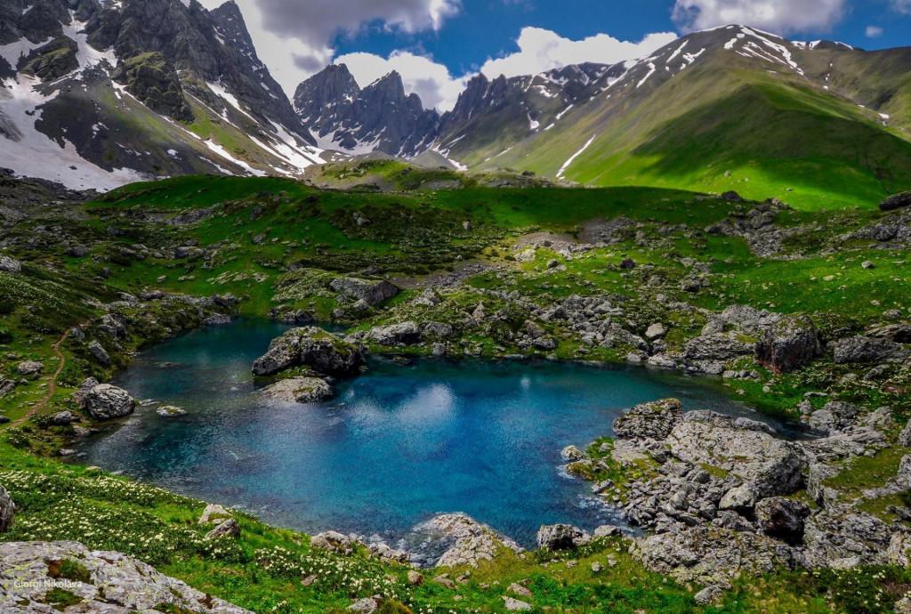 31934075_1241452492652299_280433