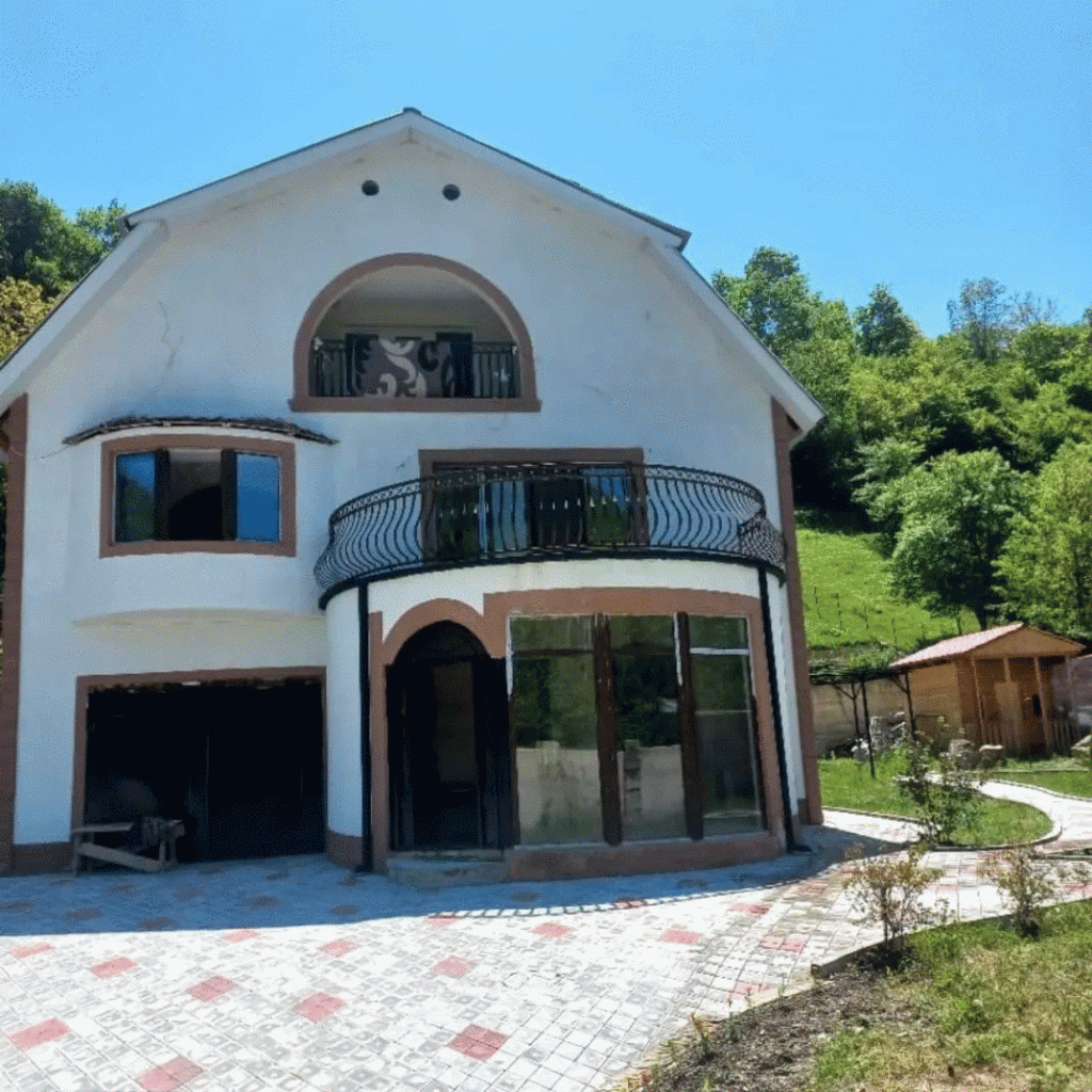 დიოსკურია ბორჯომი