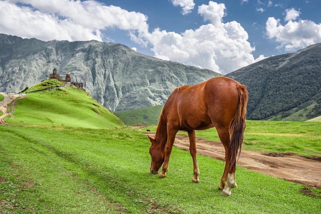 ცხენტური ყაზბეგში გერგეტის სამებაზე