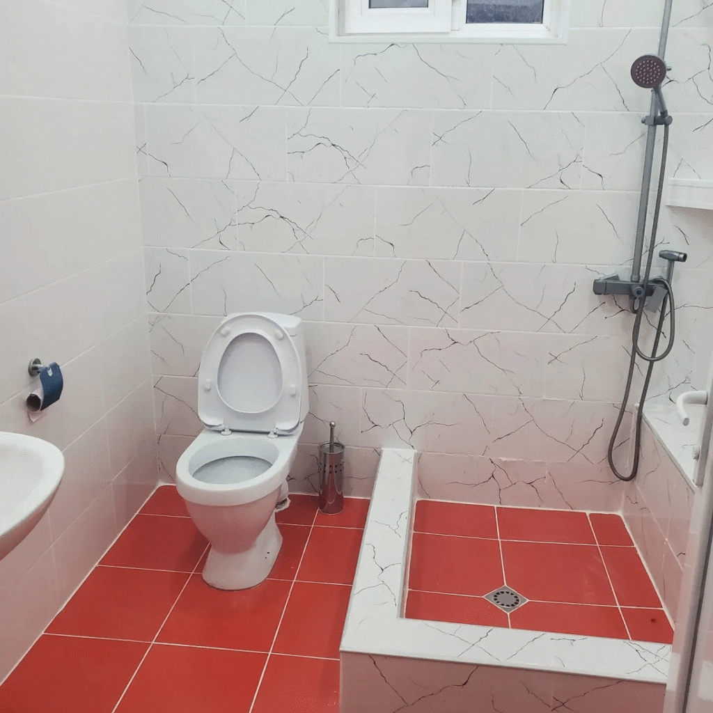 დიოსკურია ბორჯომი