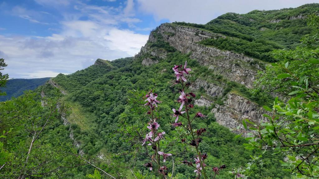 Tavkavta Canyon Day Hike – 24 June