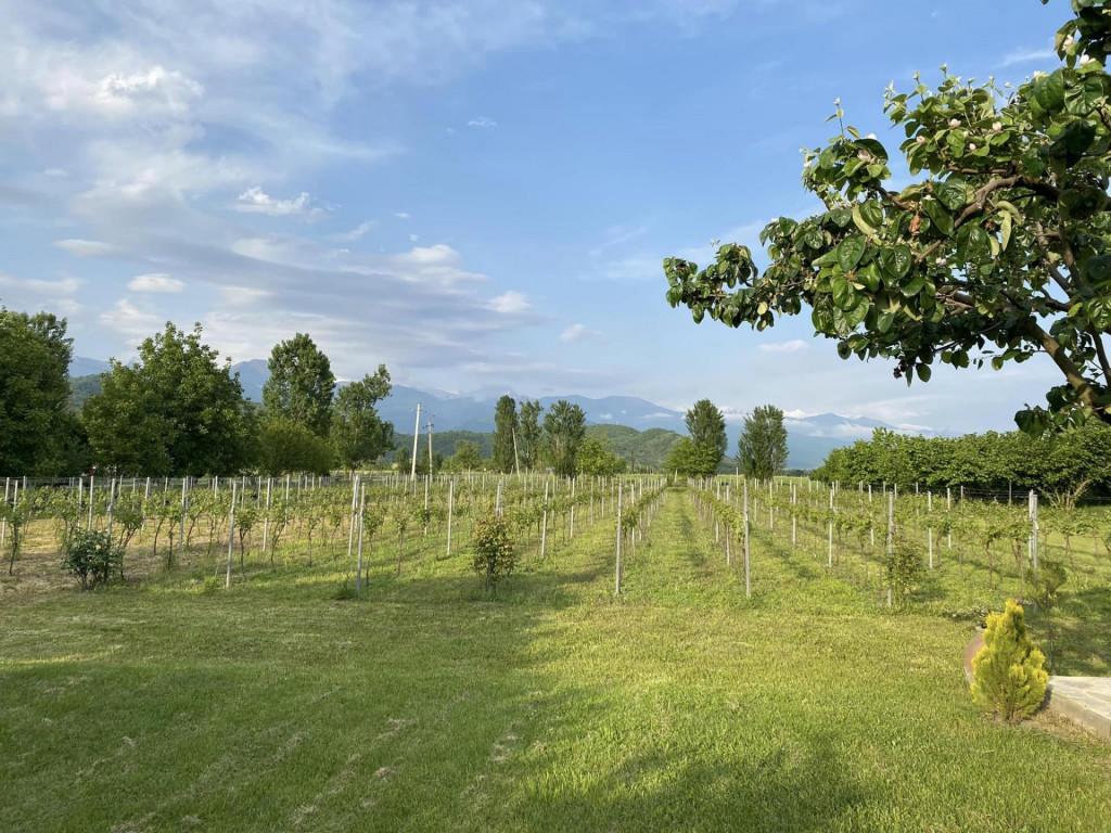 ითაბანი