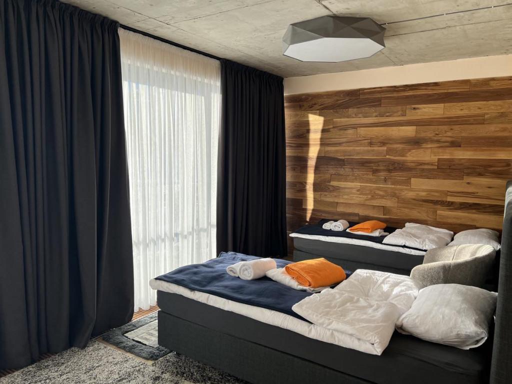 პიონერები/The Pioneers