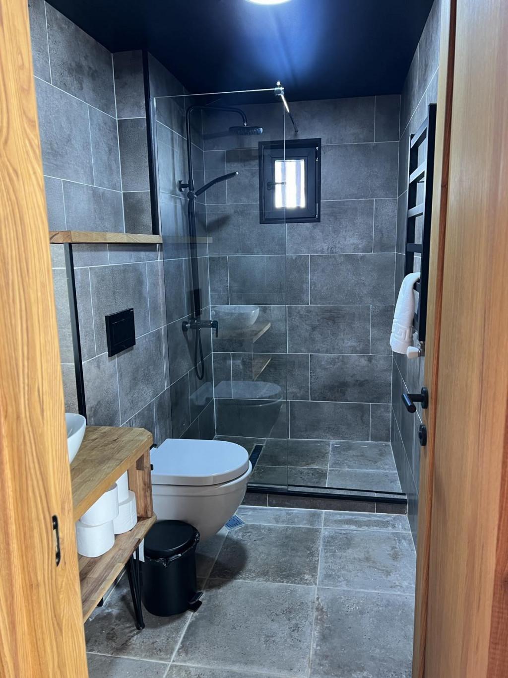 პიონერები/The Pioneers