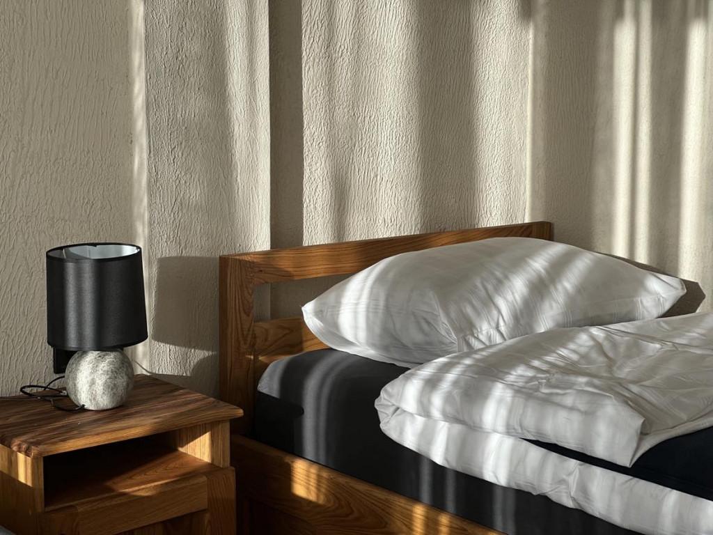 პიონერები/The Pioneers