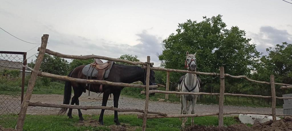 Abudelauri Lakes (Roshka) Day Hike 25 Jun