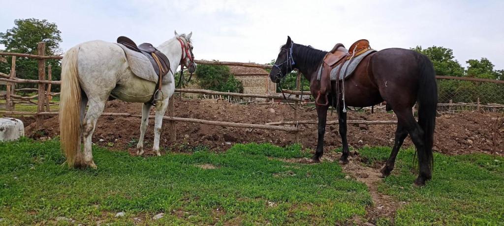 Abudelauri Lakes (Roshka) Day Hike 25 Jun