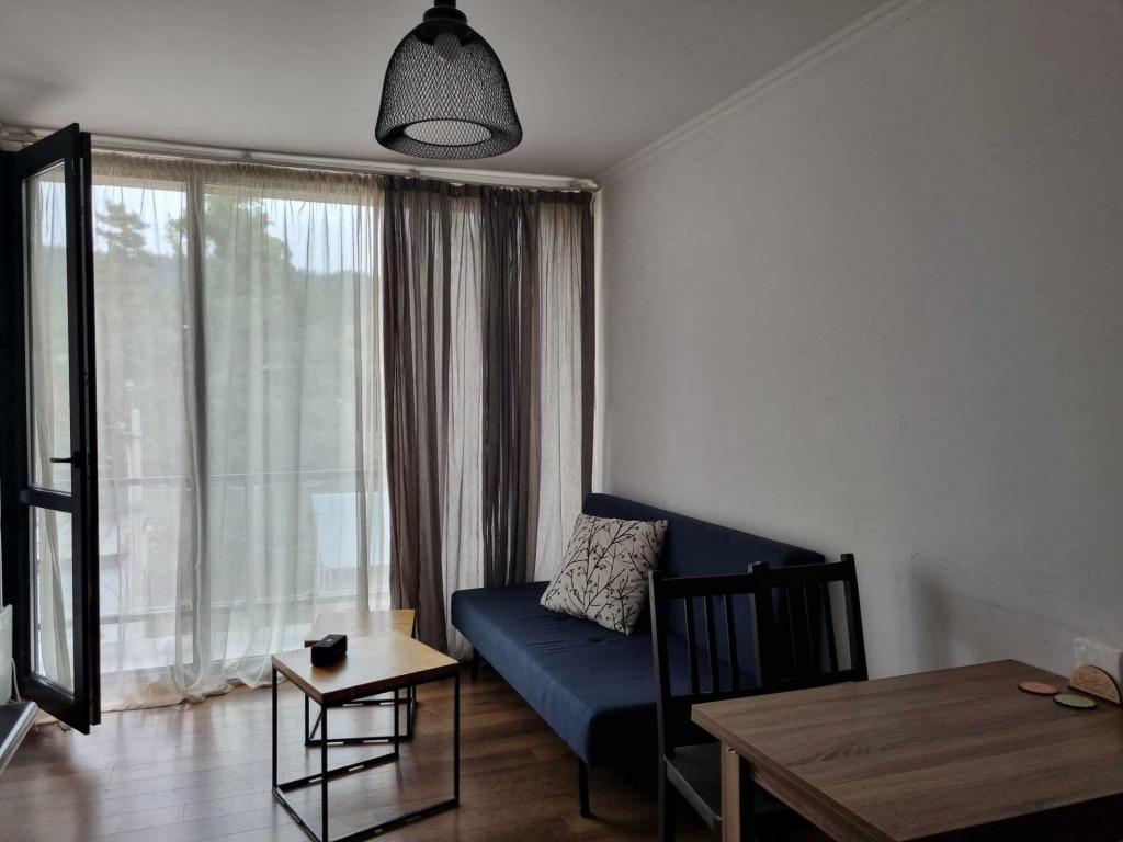 ბინა ბაკურიანში