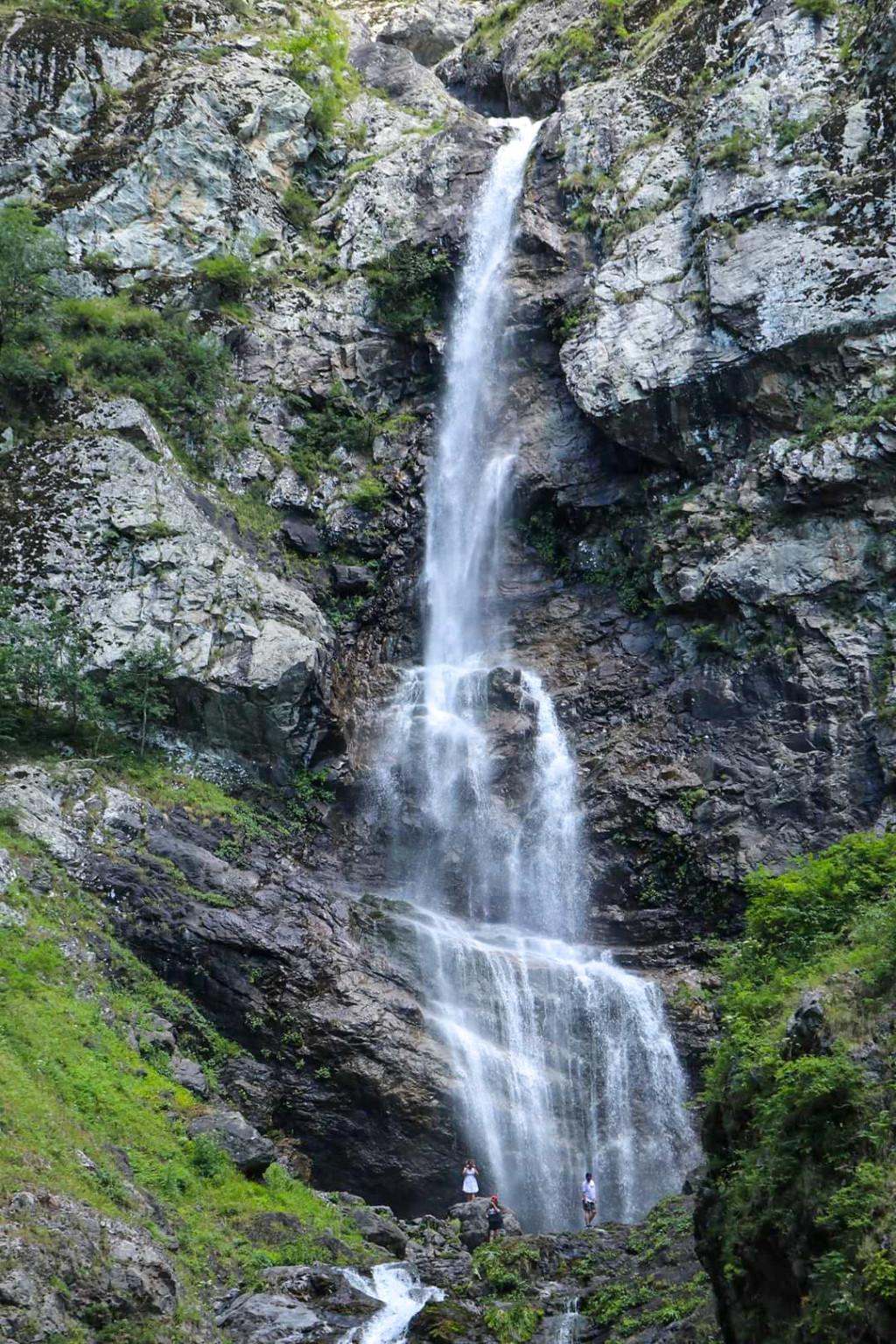 1 დღიანი გასტრო-ტური პანკისში