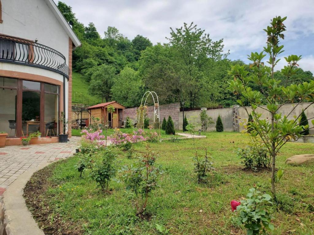 დიოსკურია ბორჯომი