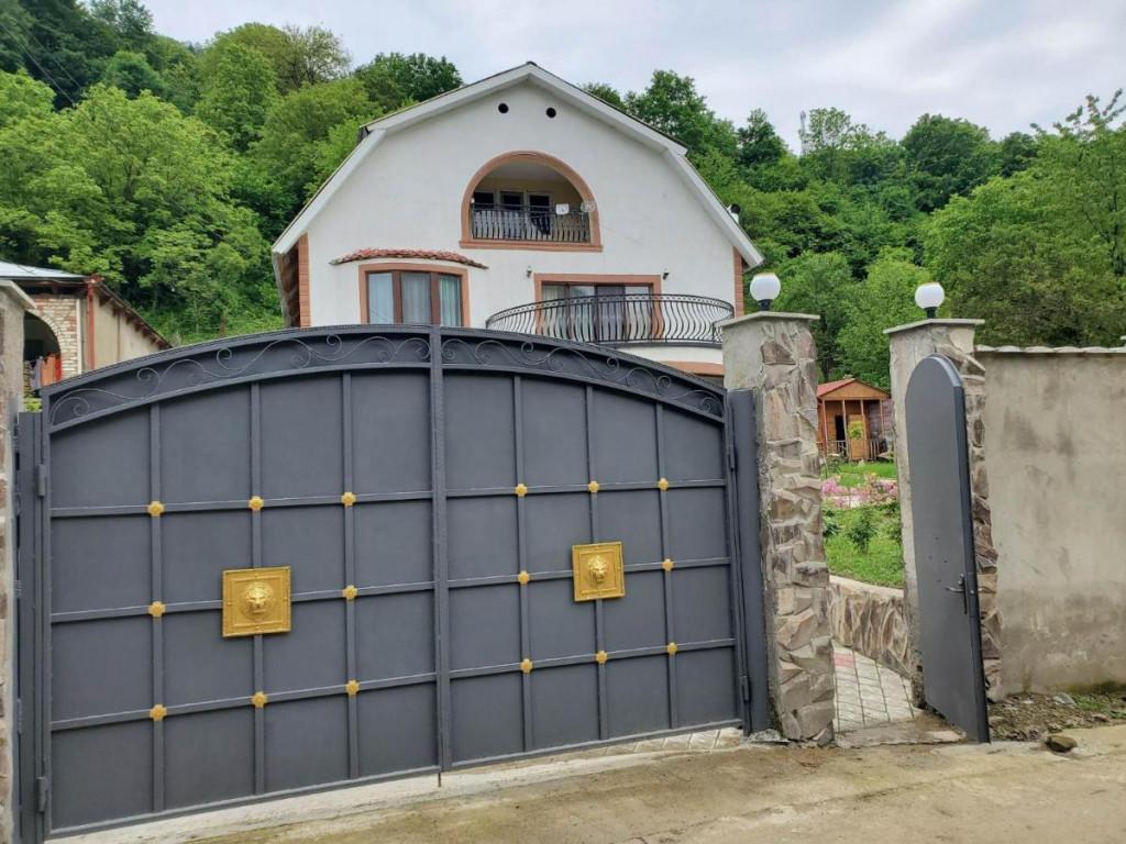 დიოსკურია ბორჯომი