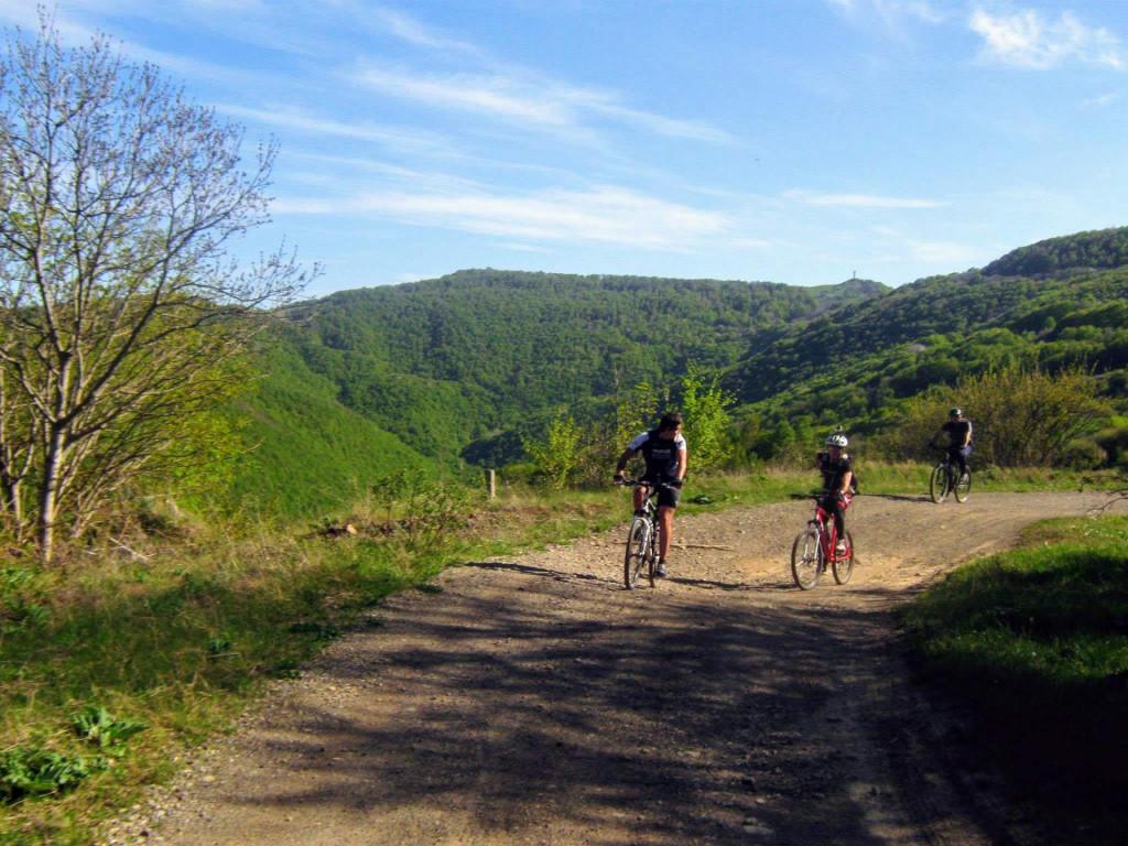 473098_365133870258859_169641598