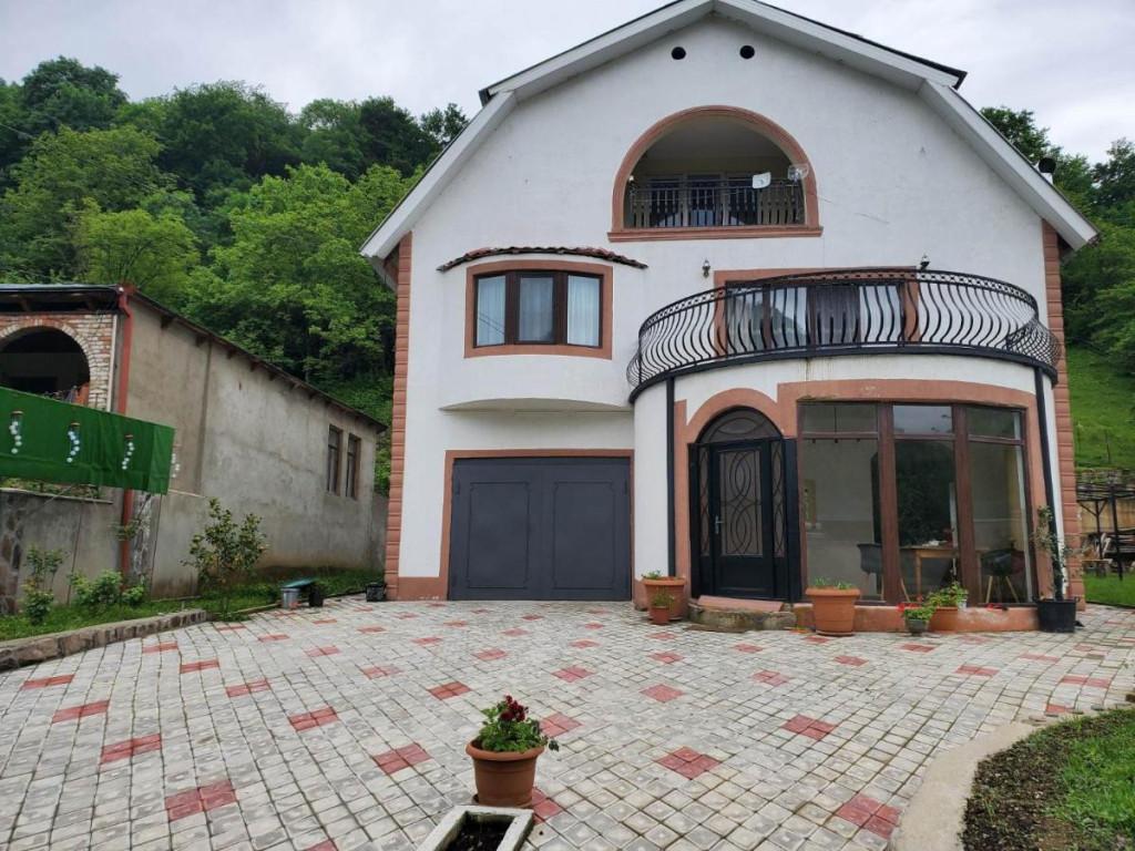 დიოსკურია ბორჯომი