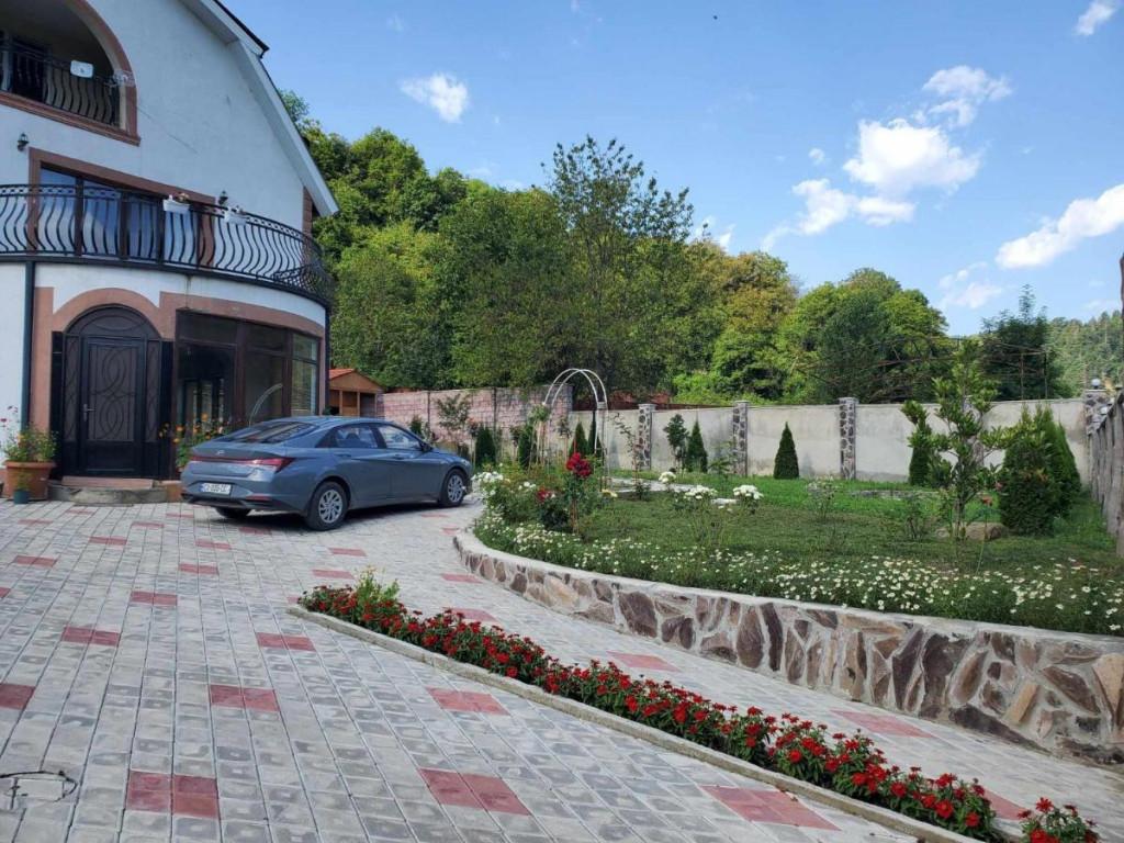 დიოსკურია ბორჯომი