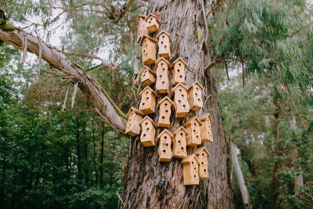 მუსიკოსთა პარკი