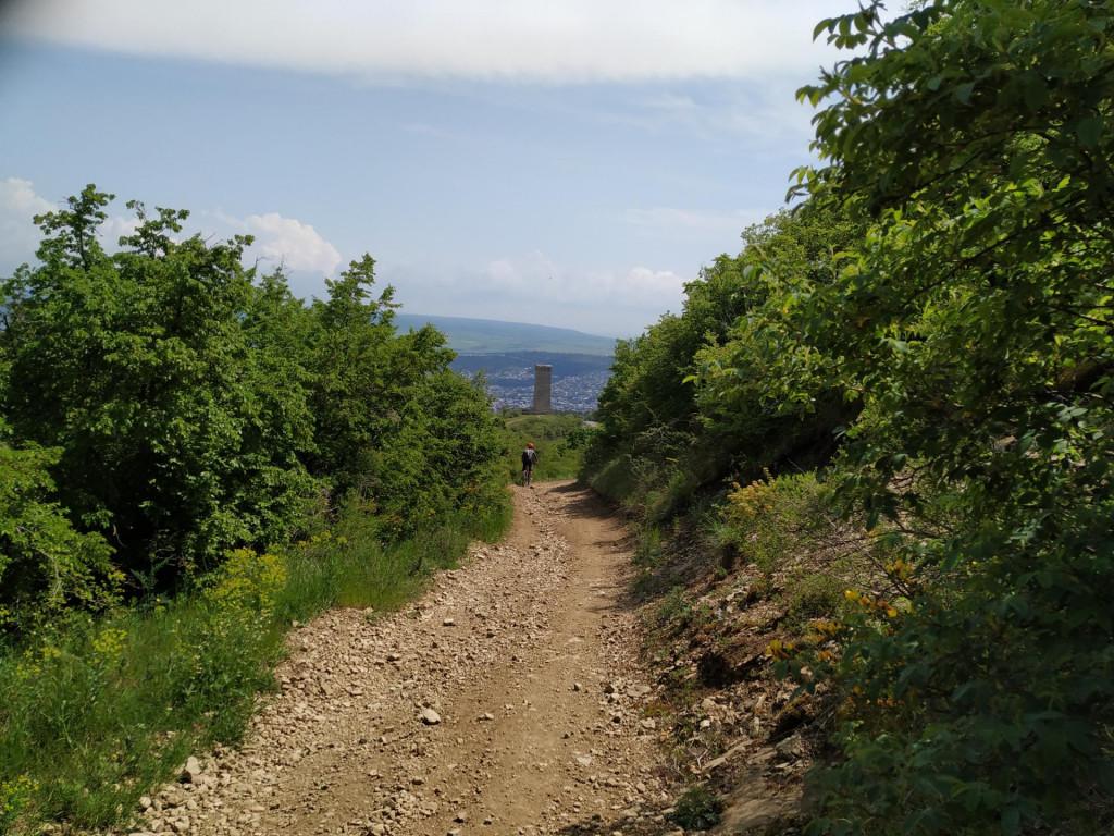 Kojori – Turtle Lake MTB Day Tour