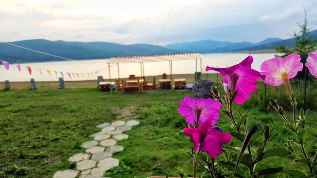 67106049_1091263511075571_777347