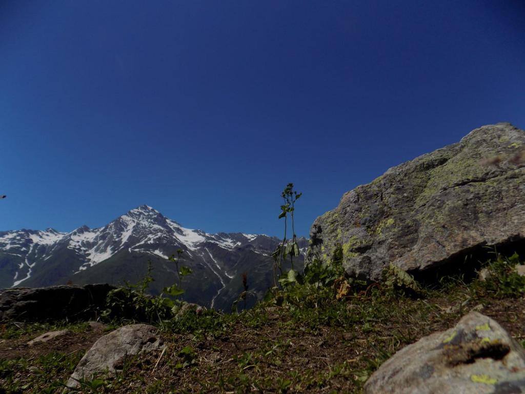 67140283_104687677533669_9152259