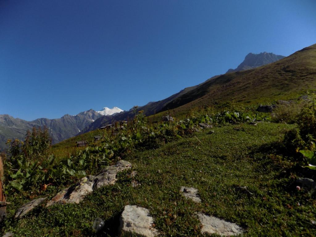 67686916_115932603075843_4770526