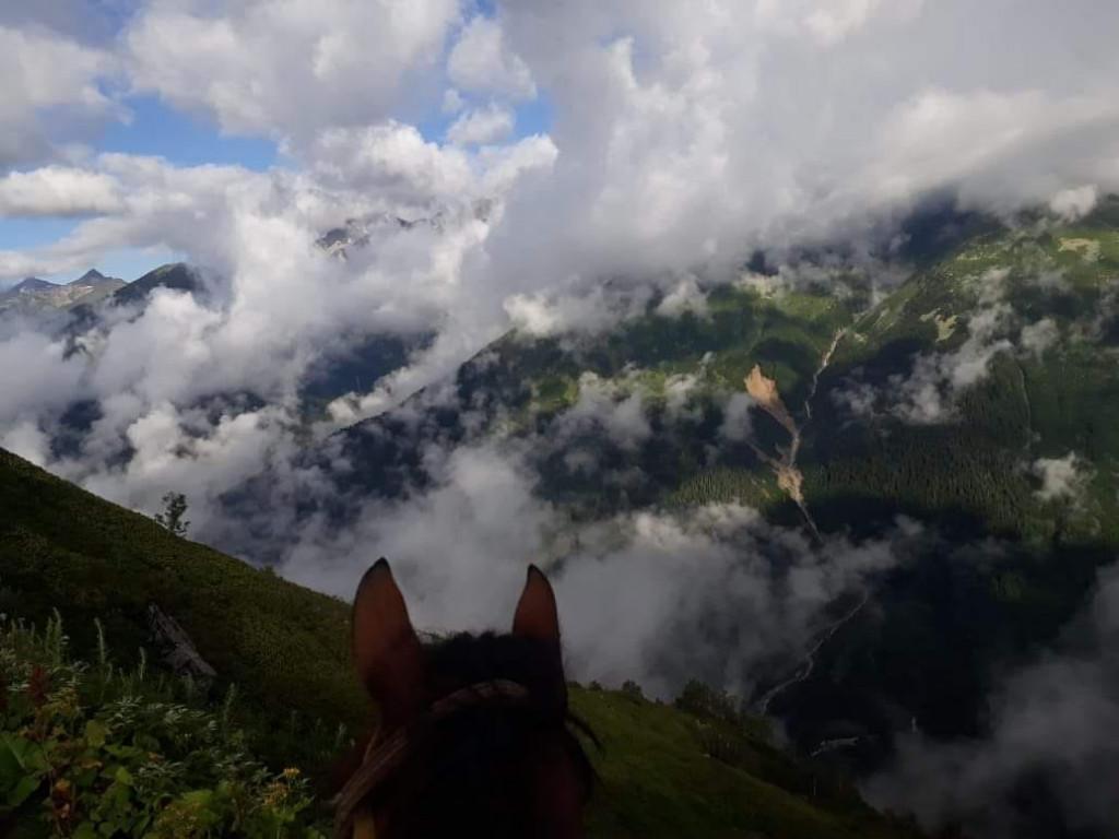 67820366_114513889884381_1319621