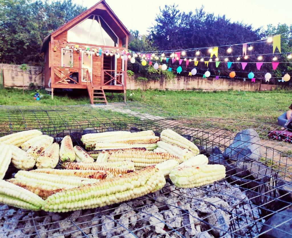 68717912_1102247563310499_179378