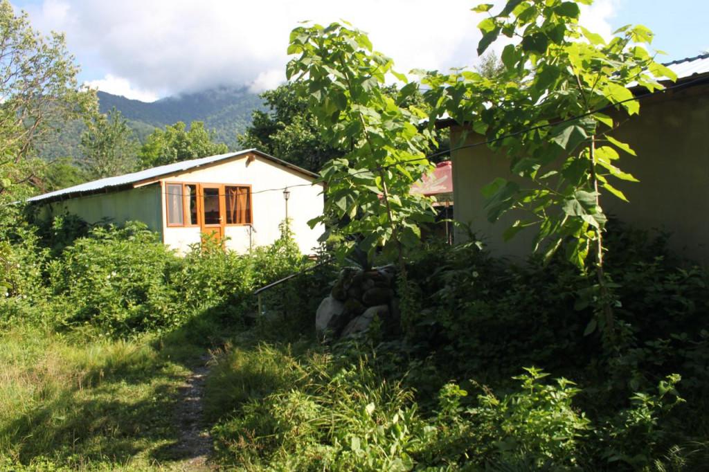 ბლუზ ვილიჯ