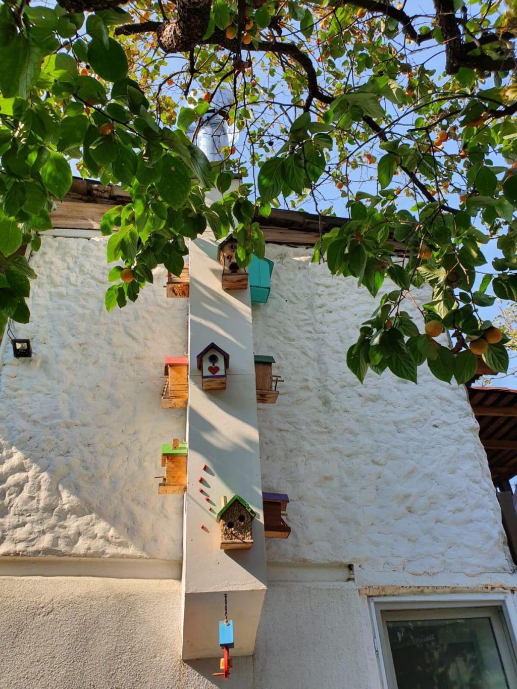 72849428_390504168504058_2634934