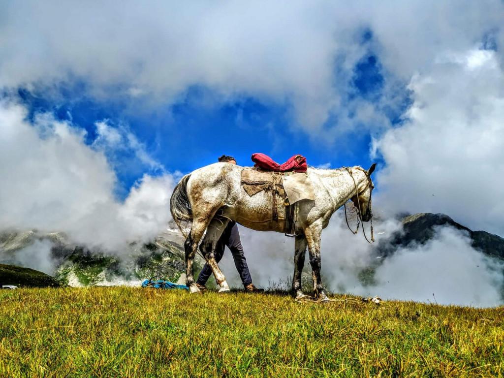 73098877_700555147112958_7586806