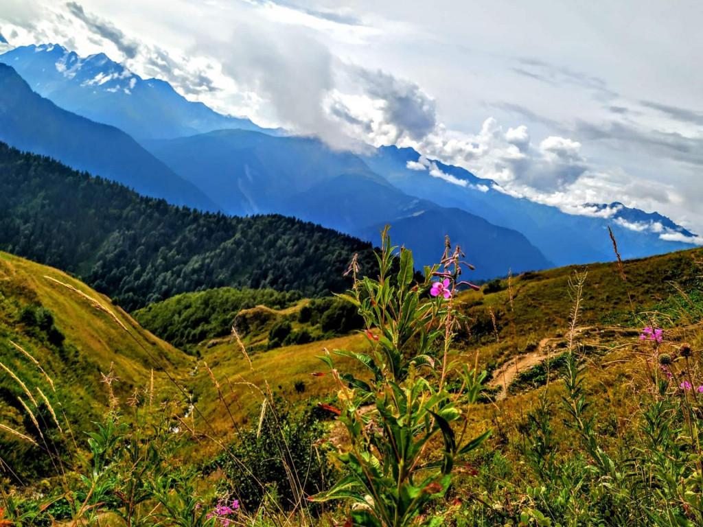 82607023_2081583118645250_139299