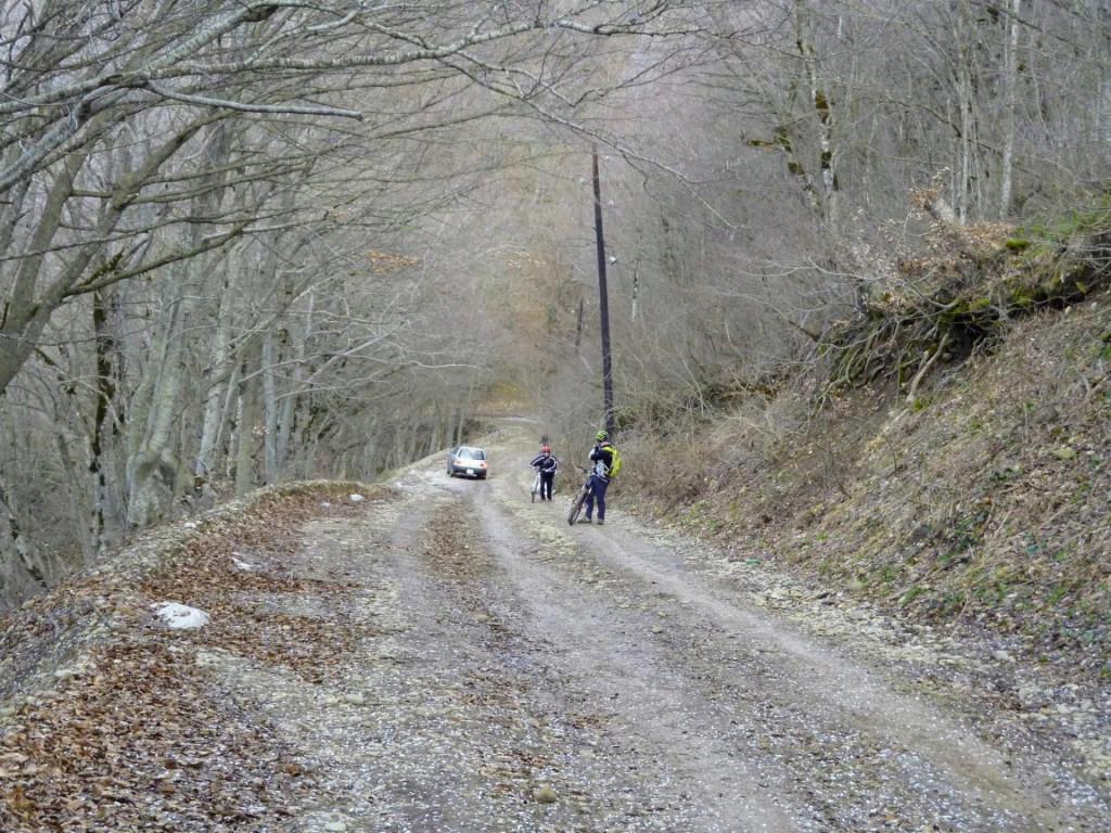 830338_337067876398792_117662217