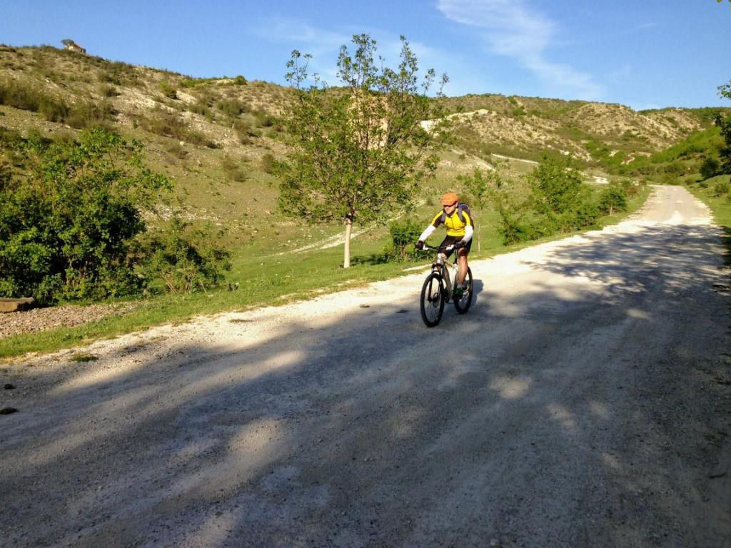 919961_364963513609228_618462372