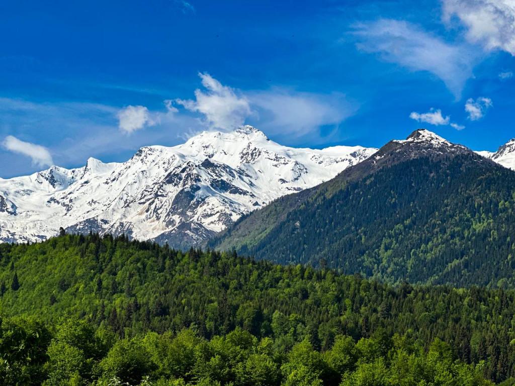 Cottage Larda • კოტეჯი ლარდა