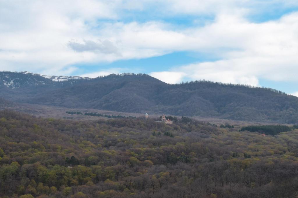 ახალი შუამთა