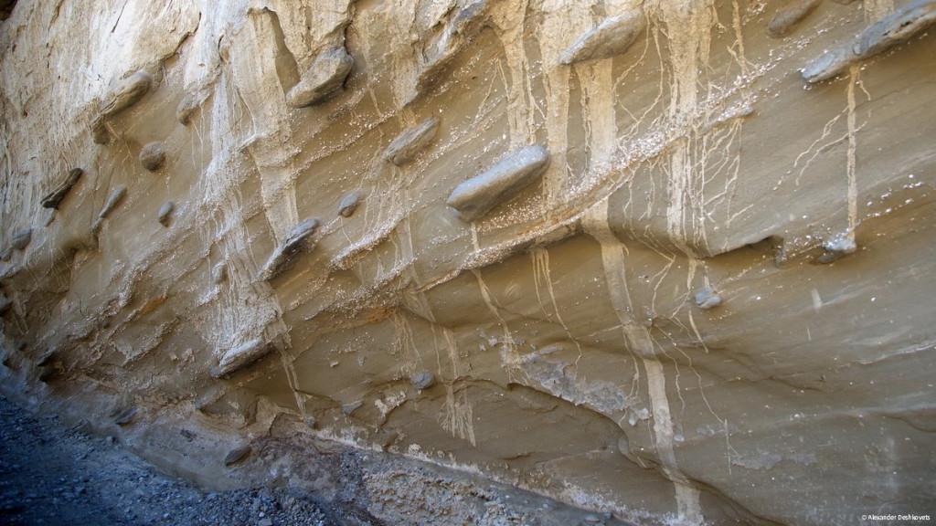 Alexander Deshkovets (10)