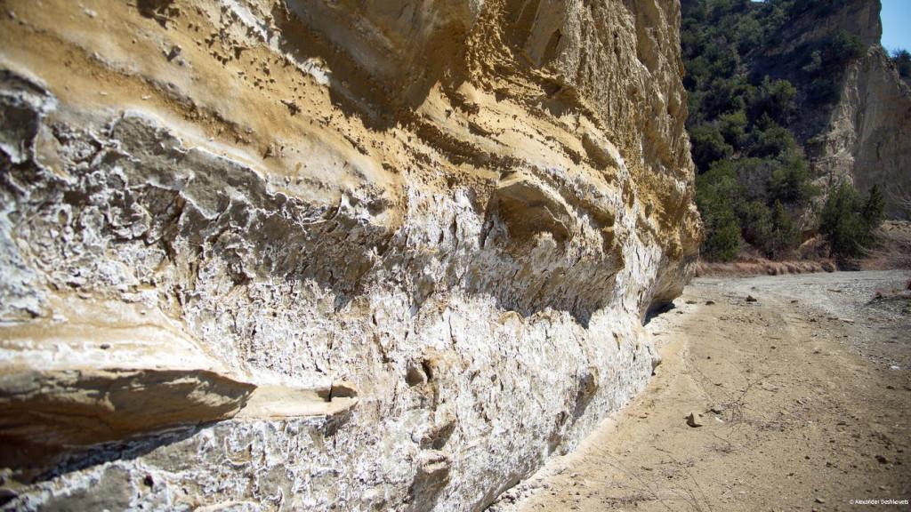 Alexander Deshkovets (15)