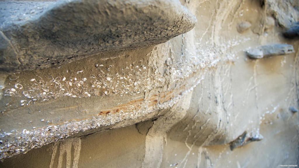 Alexander Deshkovets (20)