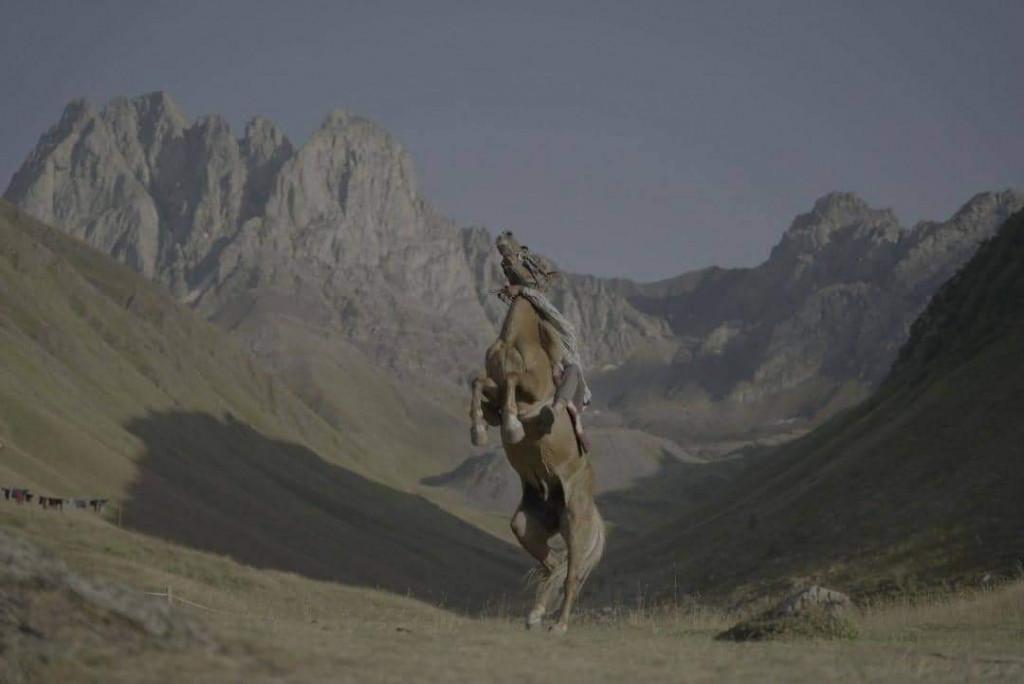 ცხენტური ჯუთაში