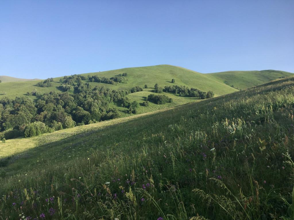 მთის კლუბი | skiclub GE