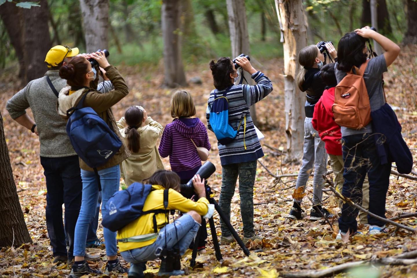 საუკეთესო ადგილები ფრინველებზე დაკვირვების მოყვარულთათვის