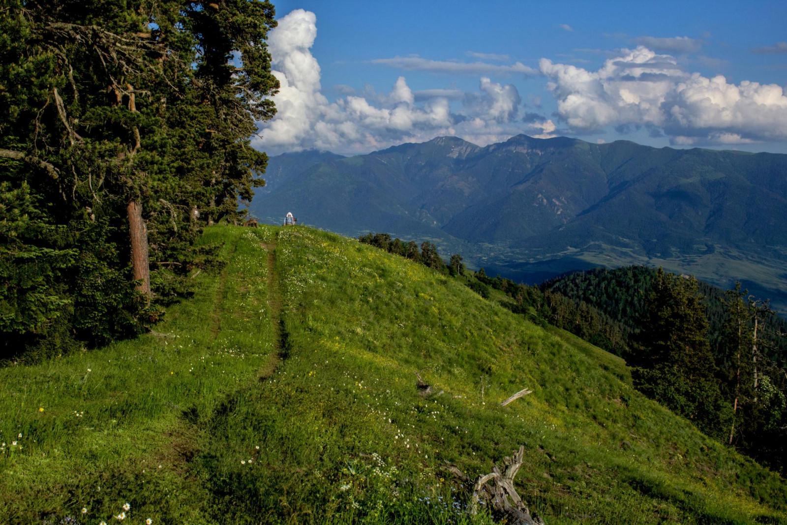 Borjomi Kharagauli National Park