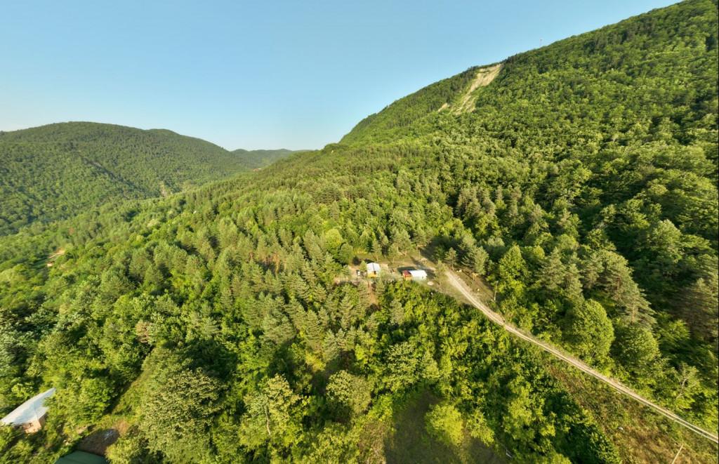 Kontsikho Cottage in Mukhli