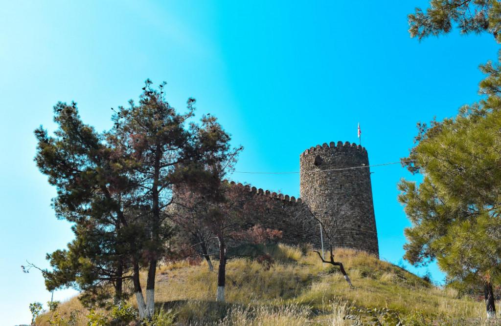 ჩაილურის (ნიახურას) ციხე