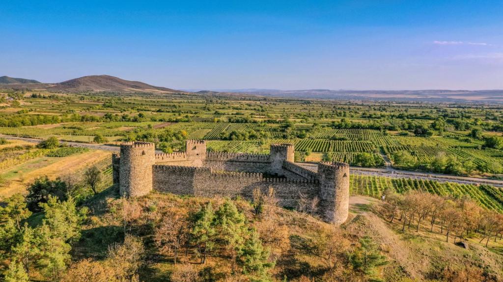 ჩაილურის (ნიახურას) ციხე, castle