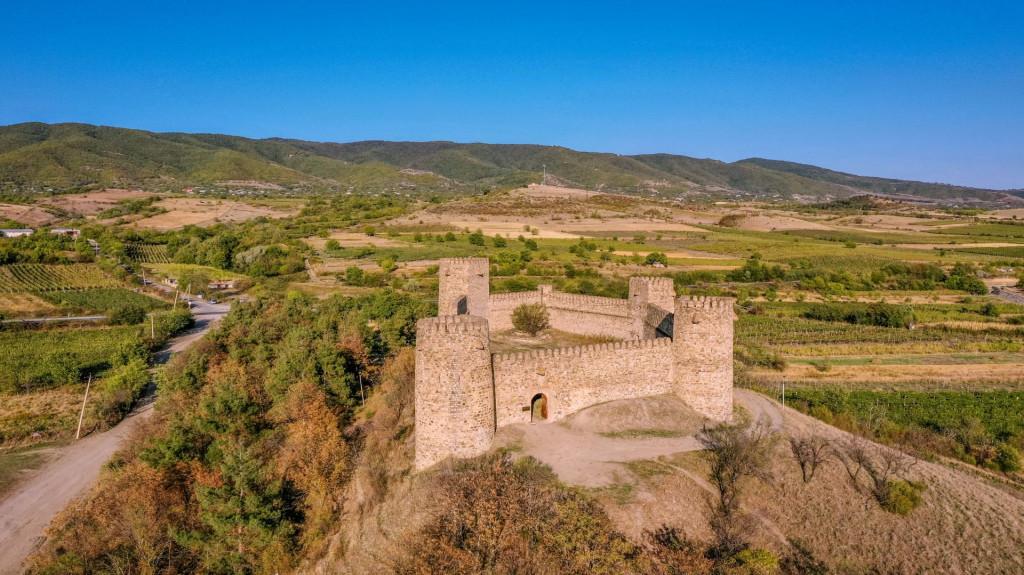 ჩაილურის (ნიახურას) ციხე, castle