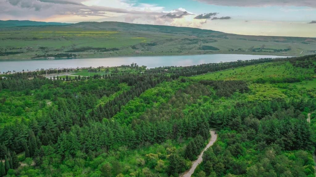 თბილისის დენდროლოგიური პარკი - Tbilisi Dendrological Park