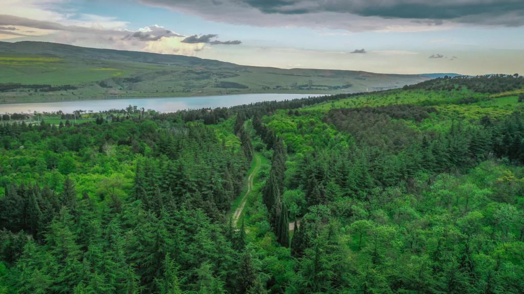 თბილისის დენდროლოგიური პარკი - Tbilisi Dendrological Park