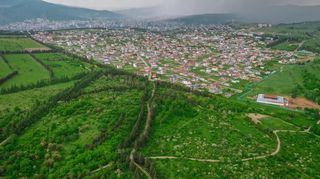 თბილისის დენდროლოგიური პარკი - Tbilisi Dendrological Park