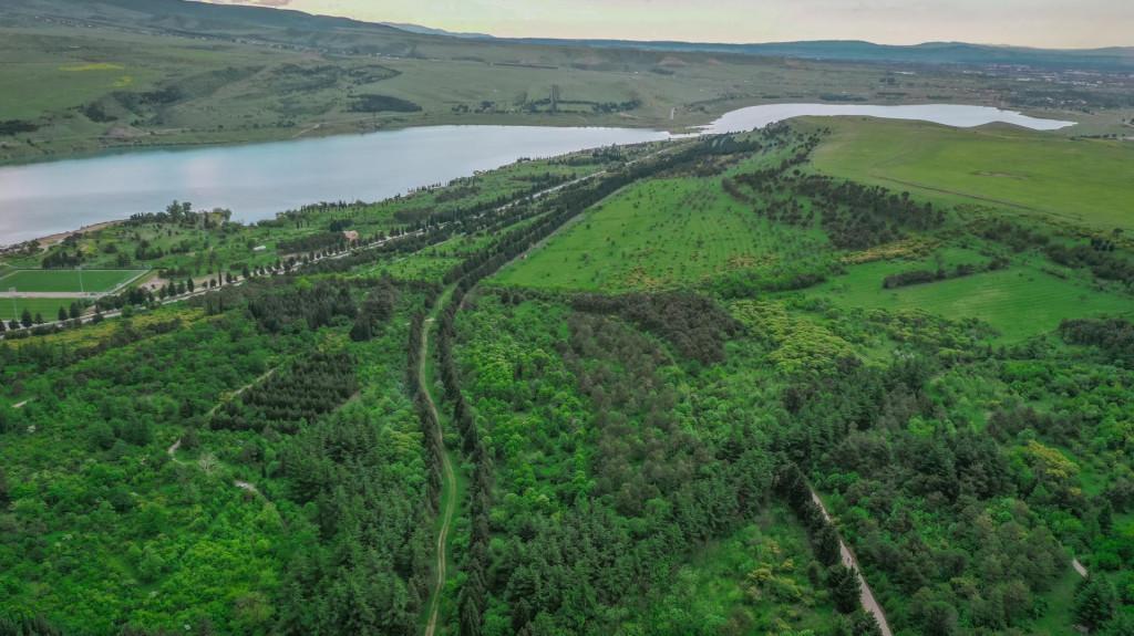 თბილისის დენდროლოგიური პარკი - Tbilisi Dendrological Park
