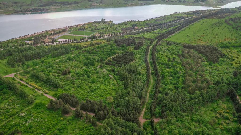 თბილისის დენდროლოგიური პარკი - Tbilisi Dendrological Park